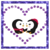 Pingüinos 6