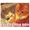 Mascotas ✇1 & Movi 11