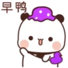 Panda 12 14