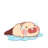 樂觀小海狸Tuto 8