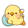 Lovely ducks 14