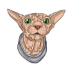 Kawaii Cats 1 Mov 16