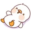 Lovely ducks 15