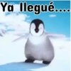 Pingüinos❦1 Movi 11