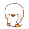 Lovely ducks 16