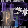 DUELO LUTO 11