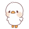 Lovely ducks 17