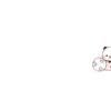 B̆̈Ŭ̈B̆̈Ŭ̈ P̆̈Ă̈N̆̈D̆̈Ă̈ 17