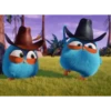 💫Angry Birds baby❣️ 14