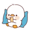 Lovely ducks 18