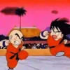 Young Goku 13