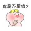 帥氣小豬豬的日常 7