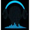 Amo la música 17