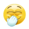 SSSFC Animated Smiley Stickers 14