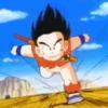 Young Goku 16