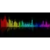 MUSICA 11