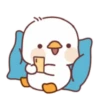 Lovely ducks 23