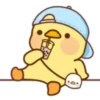 Lovely ducks 24