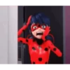Ladybug 🐞 23