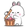 Lovely Rabbit 8 MOV. 18