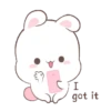 Happy Bunny  Mov 15
