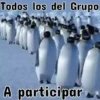Pingüinos❦1 Movi 22