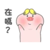 帥氣小豬豬的日常 17