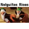 Pingüinos❦1 Movi 24