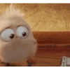 💫Angry Birds baby 2❣️ 25