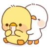 Lovely ducks 27