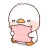 Lovely ducks 28
