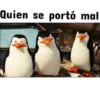 Pingüinos❦1 Movi 26