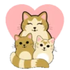 Kawaii Cats 1 Mov 27