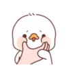 Lovely ducks 29