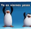Pingüinos❦1 Movi 27