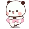 Panda 12 27