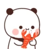 Panda 12 29
