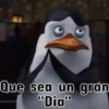 Pingüinos❦1 Movi 30