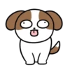 Cachorro Shih 1 Mov 5