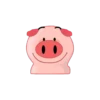 Pig 2 8