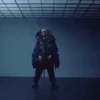 Bad Bunny MOV 7