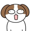 Cachorro Shih 1 Mov 6