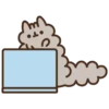 Pushen Baby Cat 6