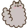 Pushen Baby Cat 7