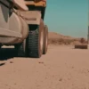 Bad Bunny MOV 10