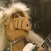 Bandas y Rock 4 7