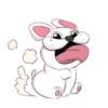Cat and dog 5