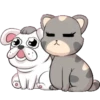 Cat and dog 6
