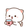 MOCHIS CAT Extra"R" MOV 6