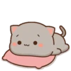 MOCHIS CAT Extra"R" MOV 8